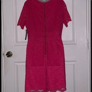 New York & Company Other - $12 NY&C Lace Hot Pink Romper New York & Company Other - $12 NY&C Lace Hot Pink Romper